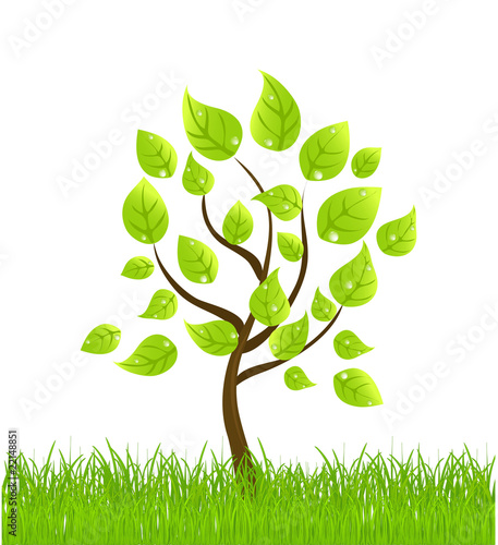 vector background with tree and grass