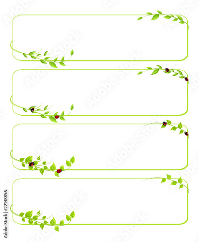 vector background with leaf and ladybird