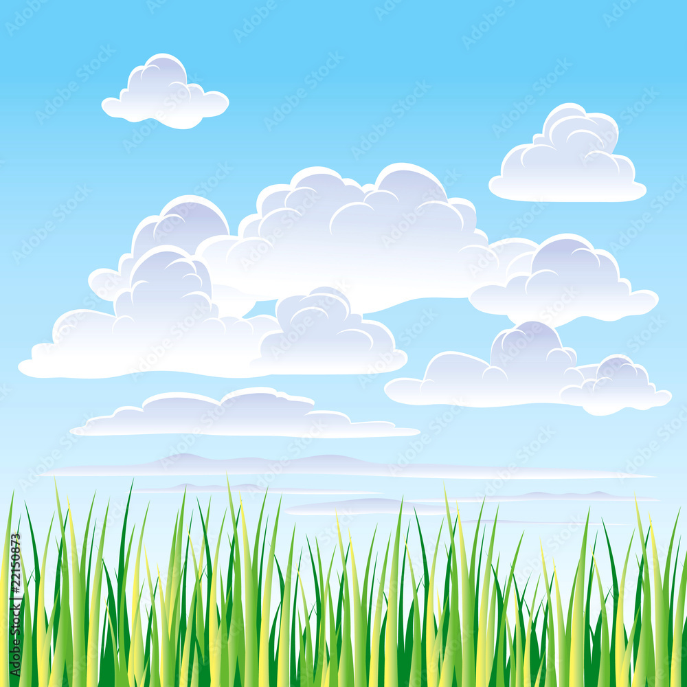 Obraz premium Sky and grass