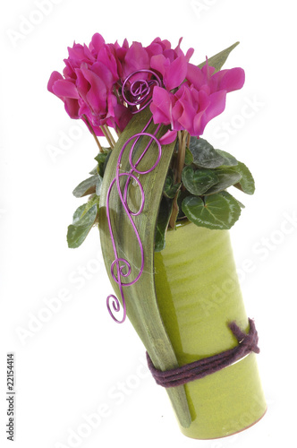 Cyclamen in einer Vase mit Blüten photo