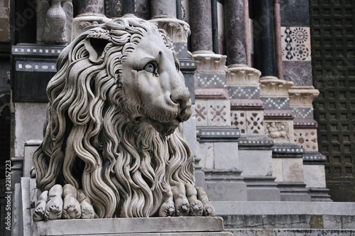 Genova San Lorenzo cathedral's - with lion
