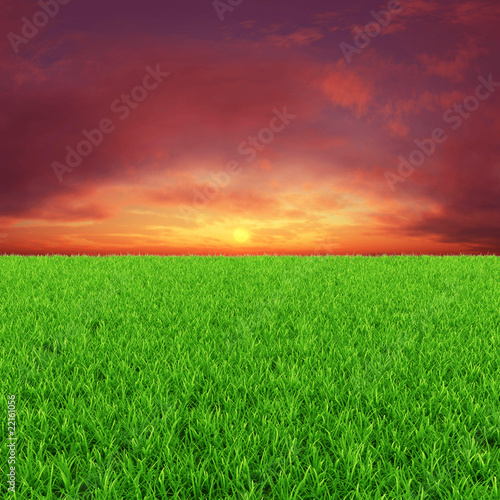 Sunny background with green grass and red sky