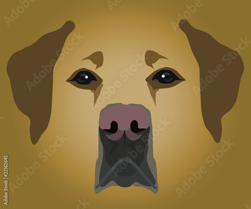 muzzle of dog