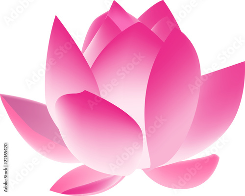 Lotus flower
