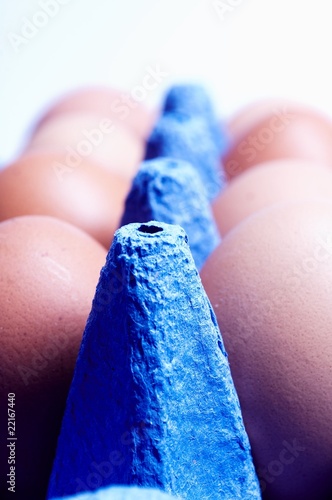 egg