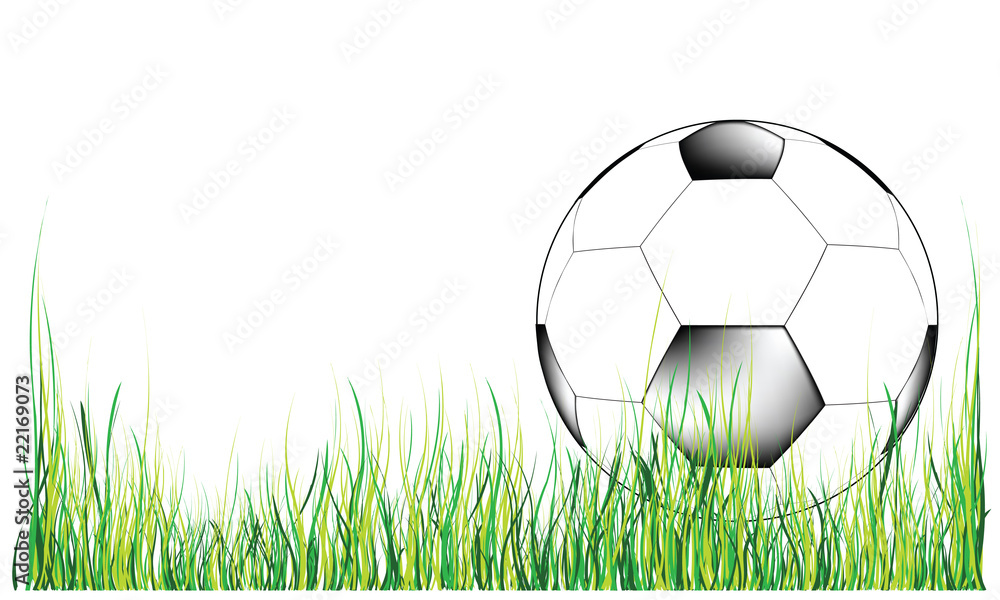 Fototapeta premium soccer ball on green grass
