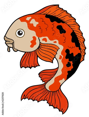 Koi fish