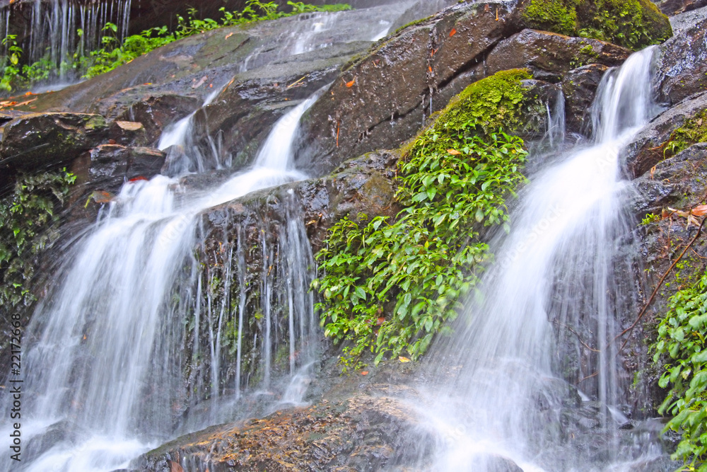 Fototapeta premium Rocky Stream