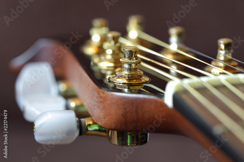 Acoustic guitar headstock photo