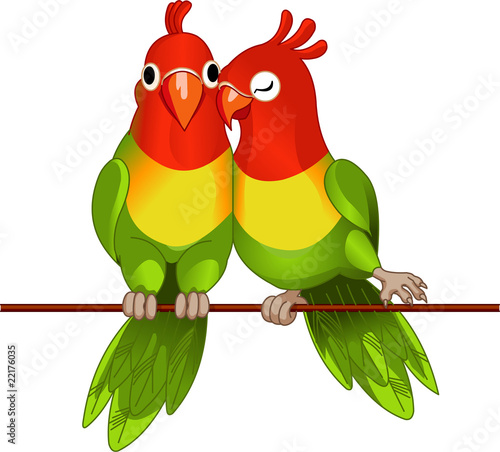 Pair of lovebirds