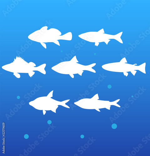 vector silhouettes fish