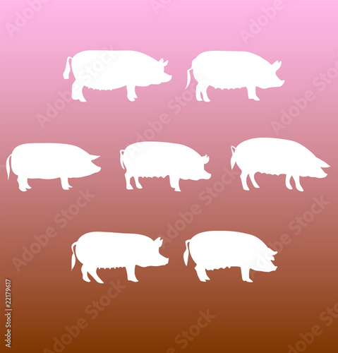 vector silhouettes pigs