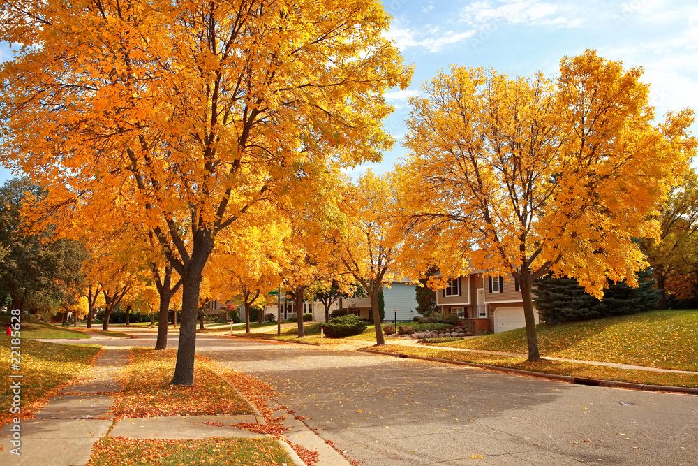 Obraz premium Residential Neighborhood in Autumn