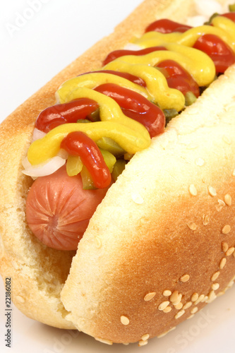 hot dog photo