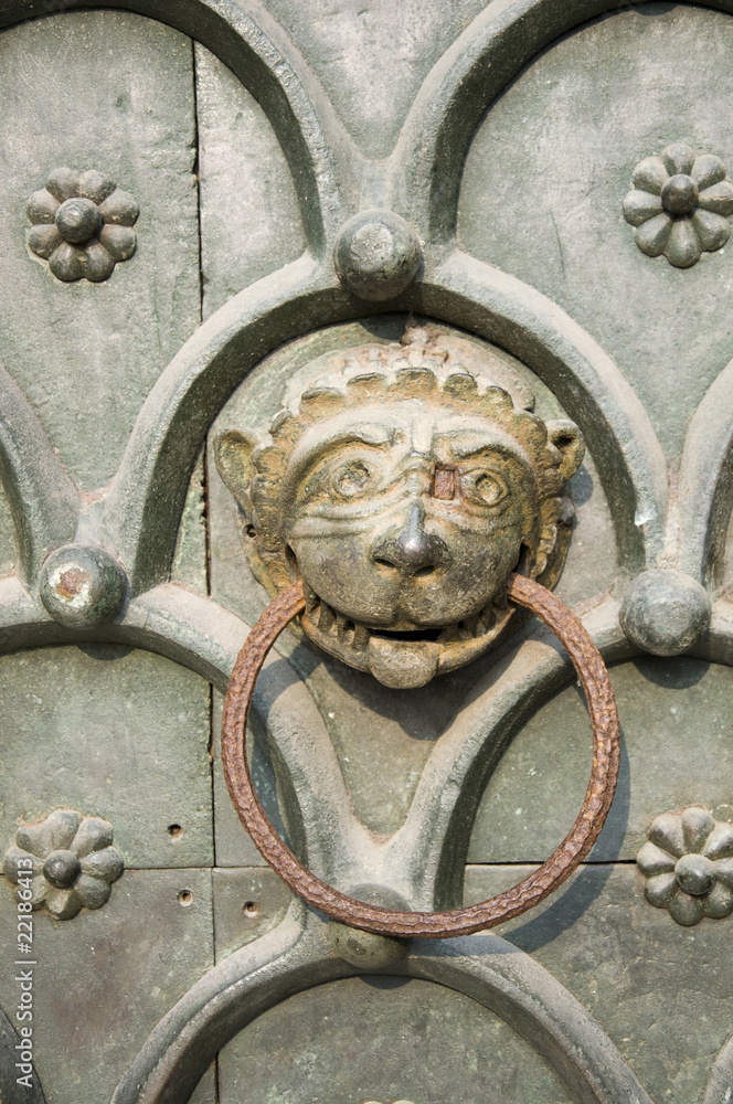 Detail of Venice iron door