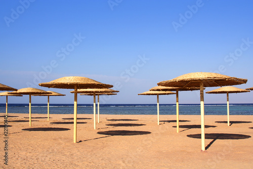 New beach in Charm  ale  Sheikh , Nabk bay © elen_studio