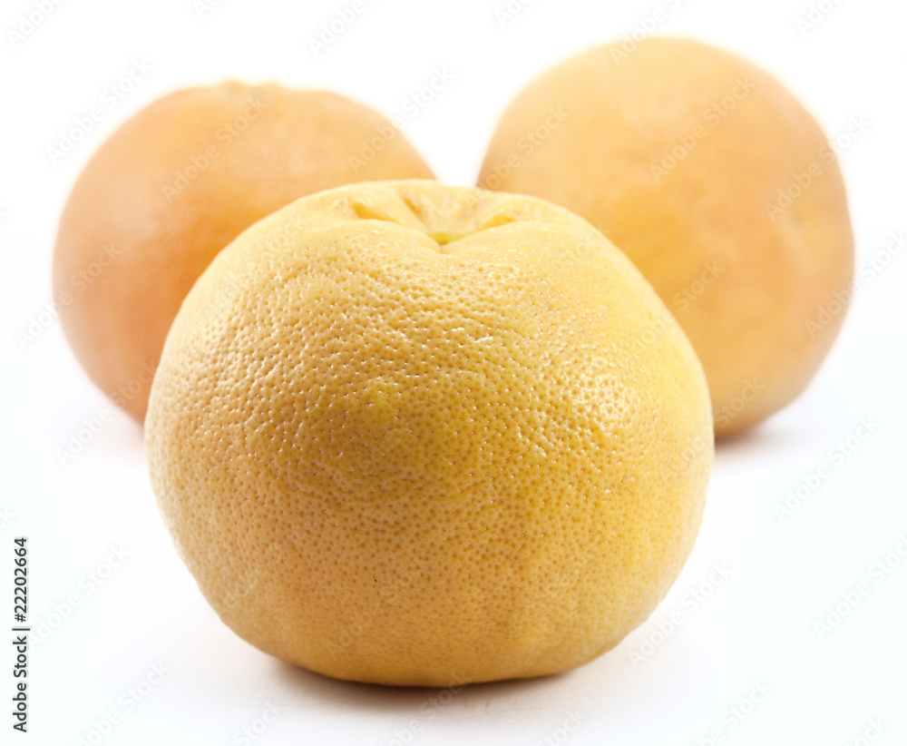 Fototapeta premium large grapefruit