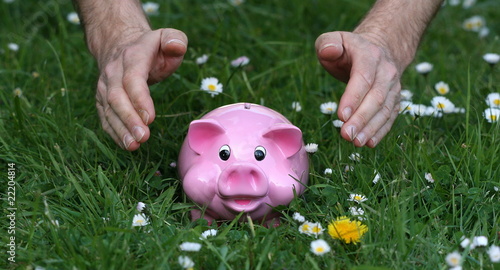 tirelire,cochon,rose,argent,banque,économie photo