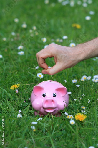 tirelire,cochon,rose,argent,banque,économie photo