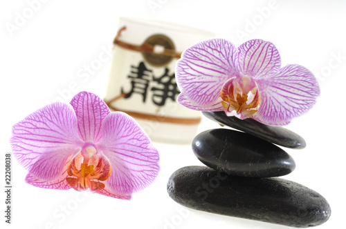 Steine mit Orchideen