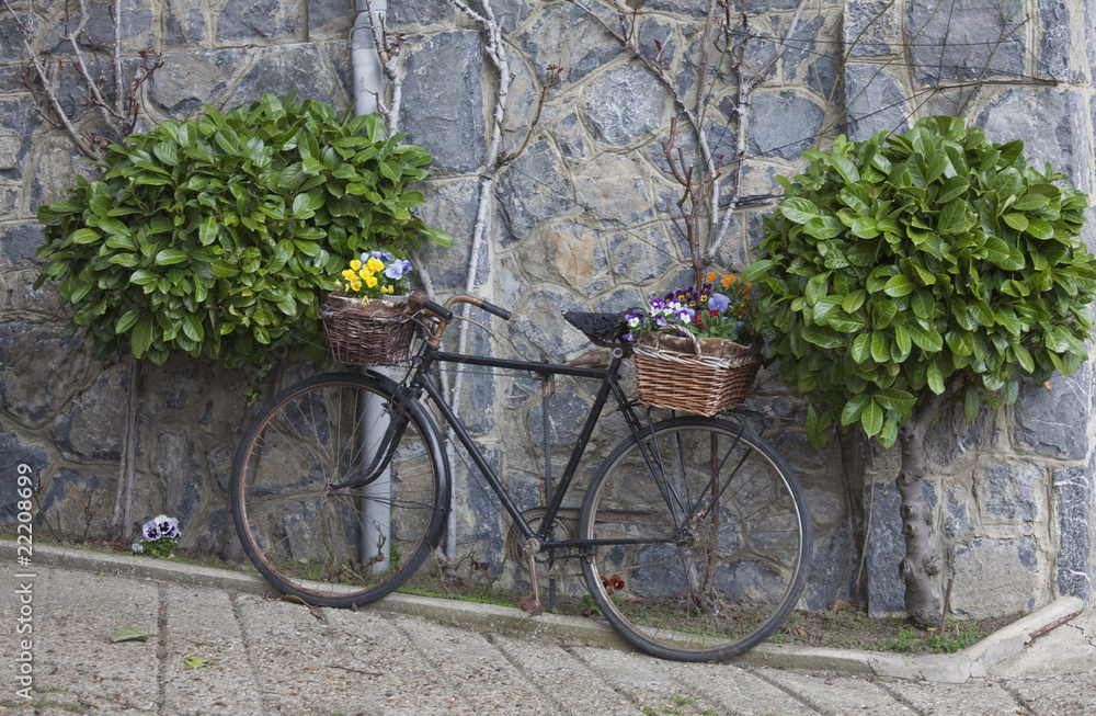 Bicicleta decorada