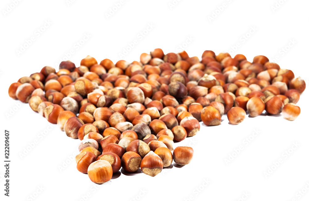 group of hazelnuts on white background group of hazelnuts on white background