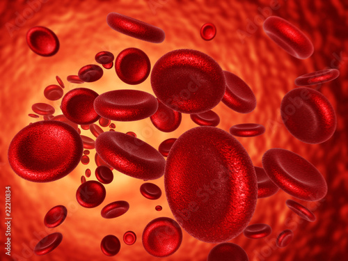 Red Blood Cell
