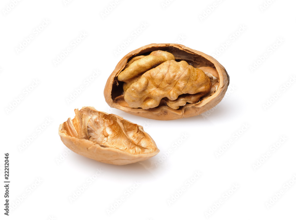 Walnut Walnut