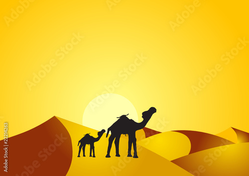 Camel and baby camel in the desert