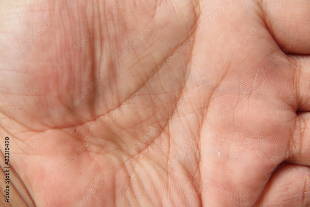 hand hand