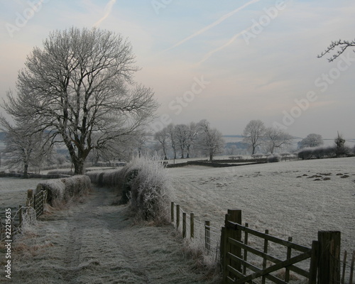 dales track photo