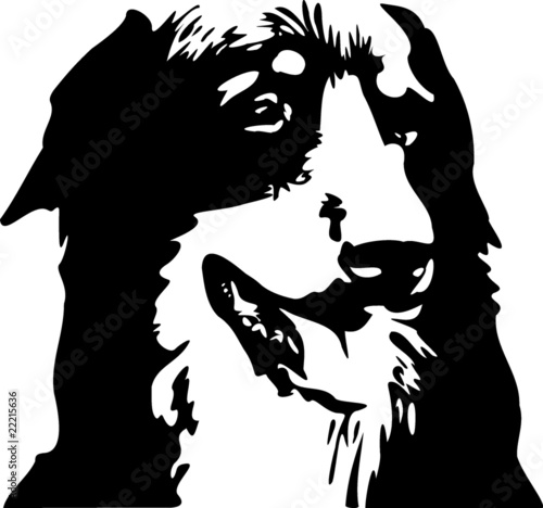Hund