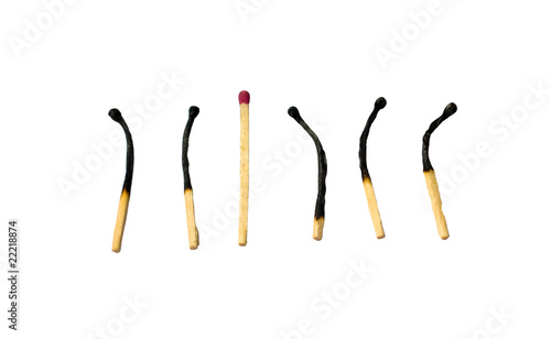 One healthy and 5 burnt matches in row. Isolated on white.