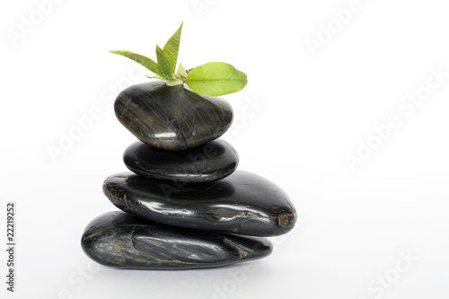 Balancing Stones And Green Leaves