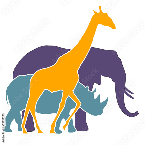 Elefant, Nashorn, Giraffe