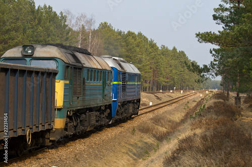 Freight diesel train © remik44992