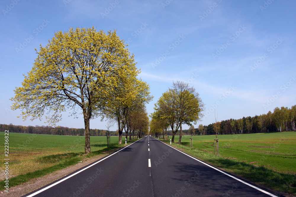 Fototapeta premium Landstraße