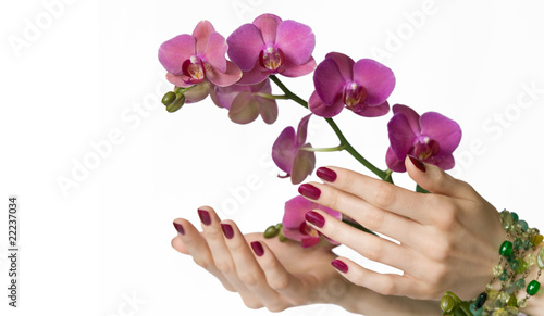 Beautiful hands with pink manicure, green beads touching orchid © Zoja