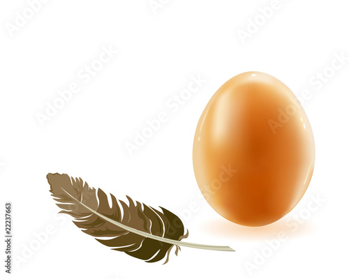 Egg and feather