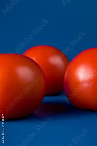 three ripe red tomatoes  on a blue background