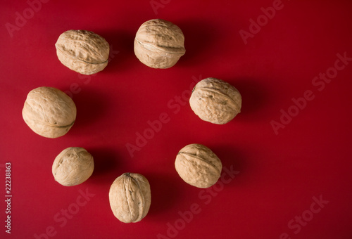 range from walnuts on a red background