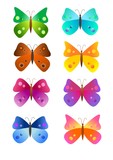 Rainbow butterflies - vector