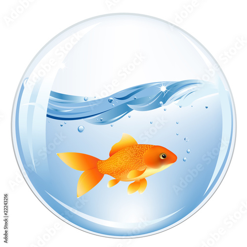 Ball With GoldFish In Water
