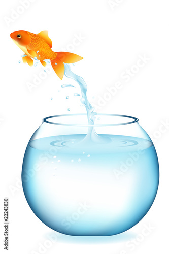 Jumping Goldfish