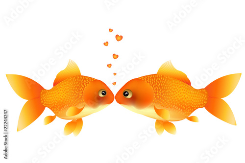 Wish Of Love