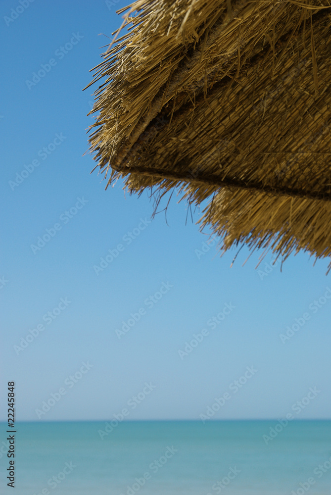 Detail of a sunshade on a beach