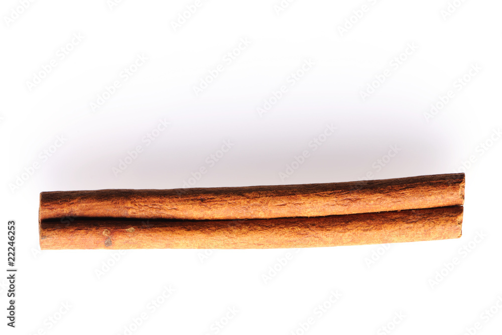 Cinnamon Cinnamon