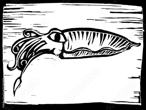 Cuttlefish