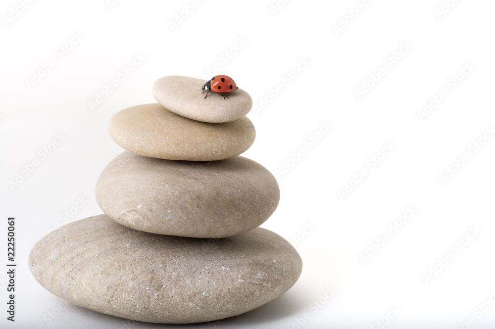 Photography ladybug on zen stones