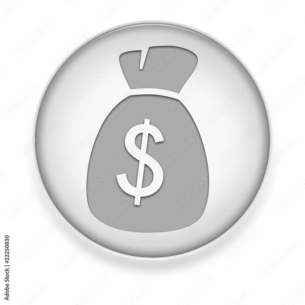 White Button / Icon White Button / Icon